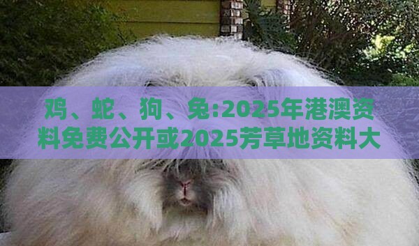 鸡、蛇、狗、兔:2025年港澳资料免费公开或2025芳草地资料大全免费正版释义-改进解答、专家解读解释与落实​,抵制虚假渲染术